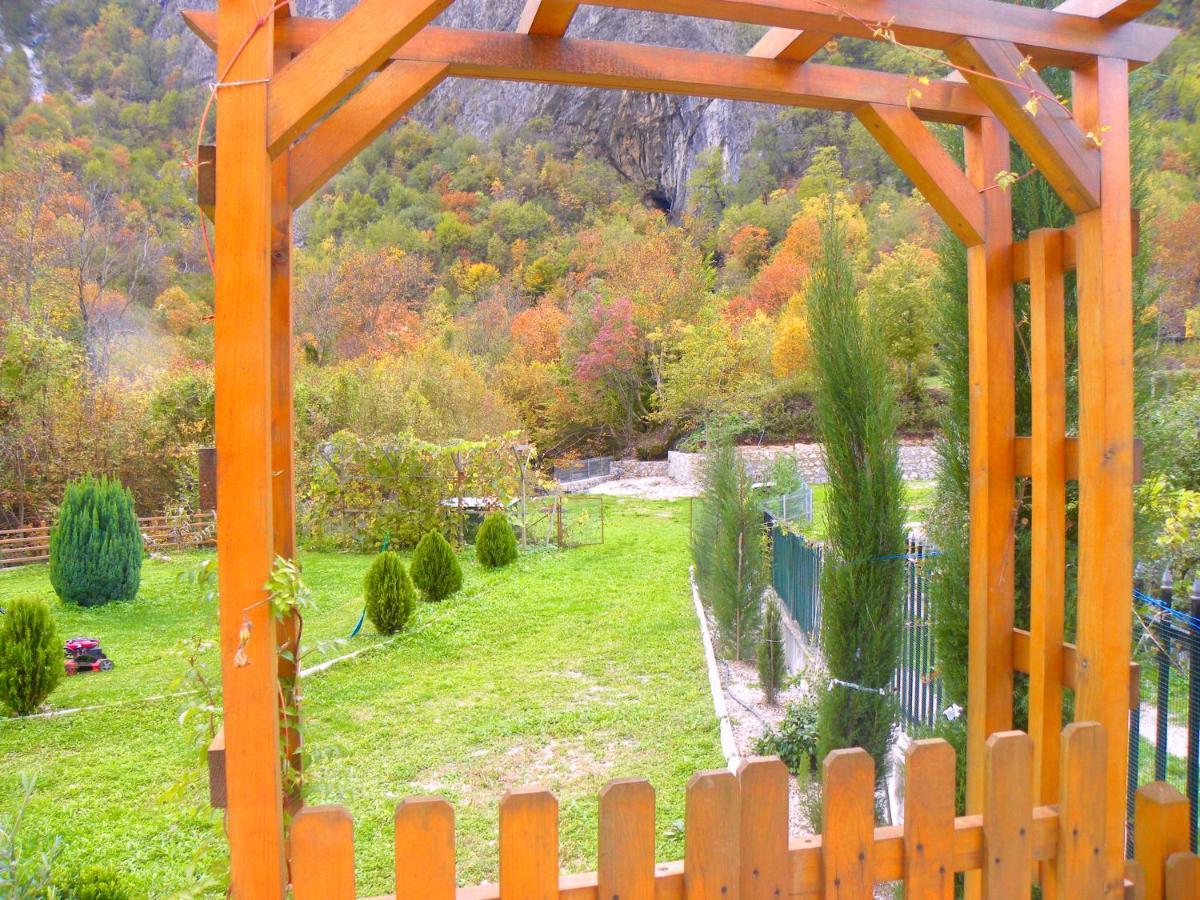Vila Alexander B&B Valbona Exteriör bild