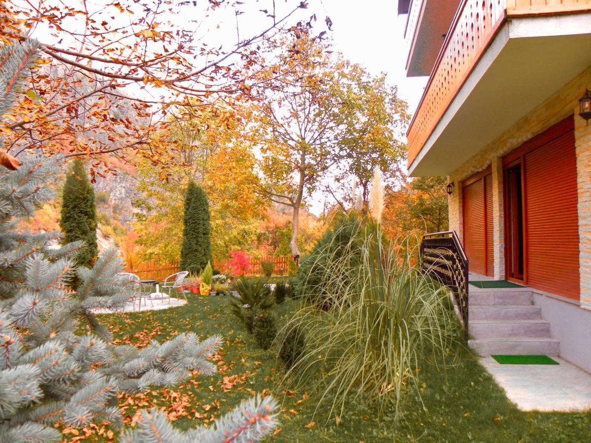 Vila Alexander B&B Valbona Exteriör bild