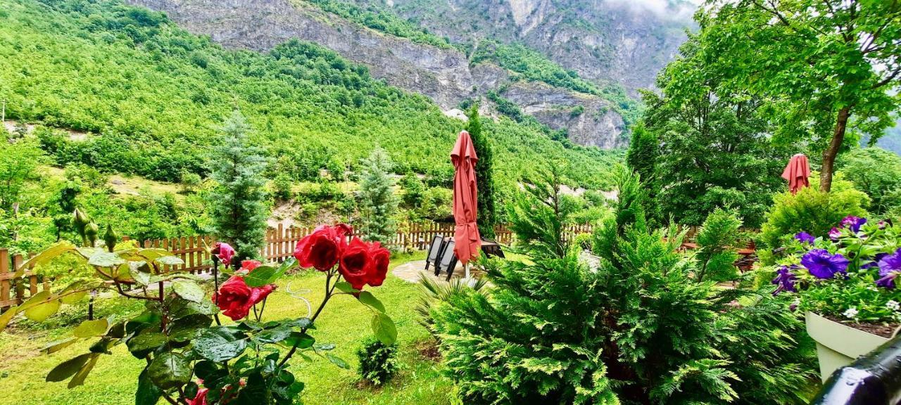 Vila Alexander B&B Valbona Exteriör bild