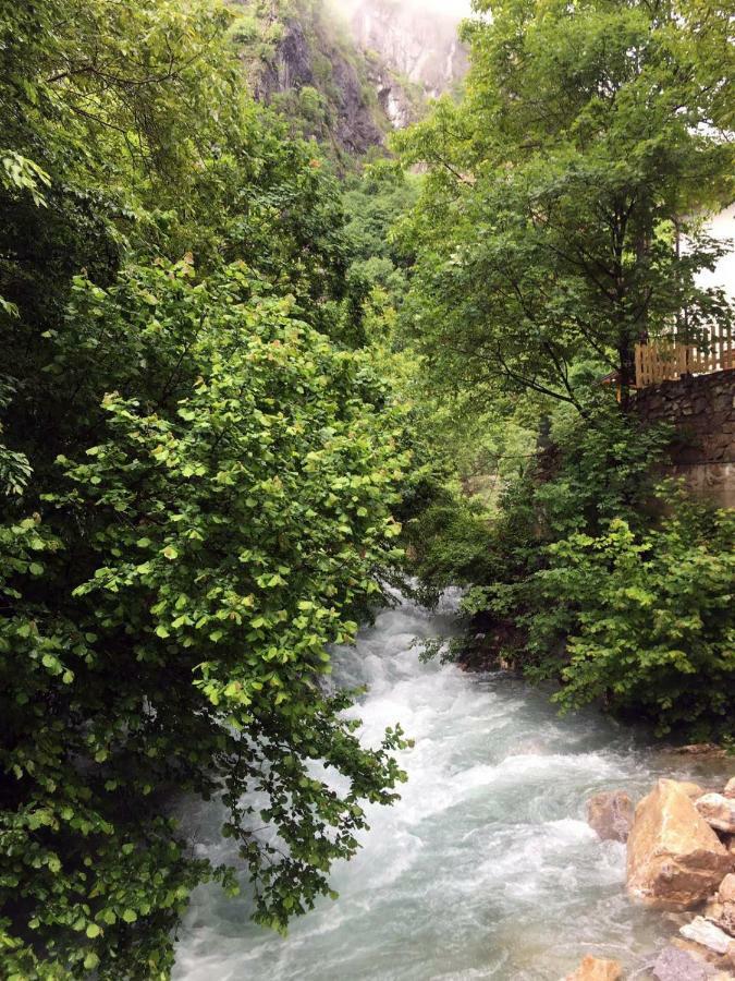 Vila Alexander B&B Valbona Exteriör bild