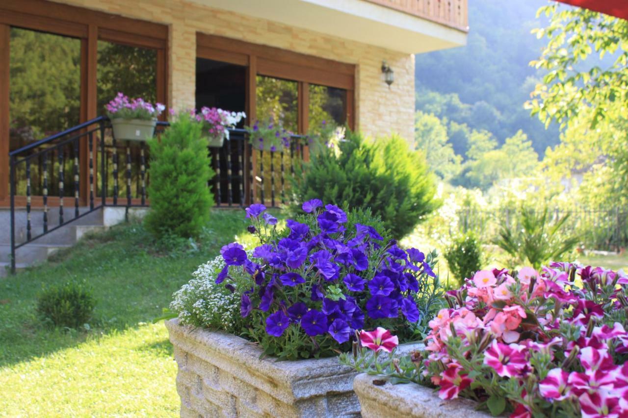 Vila Alexander B&B Valbona Exteriör bild